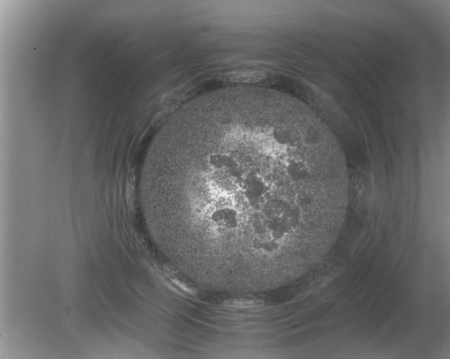 X0000081490745200701191858