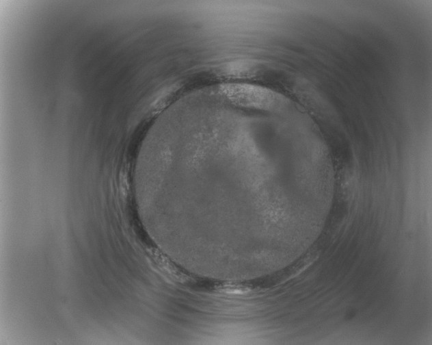 X0000081490746200701191858