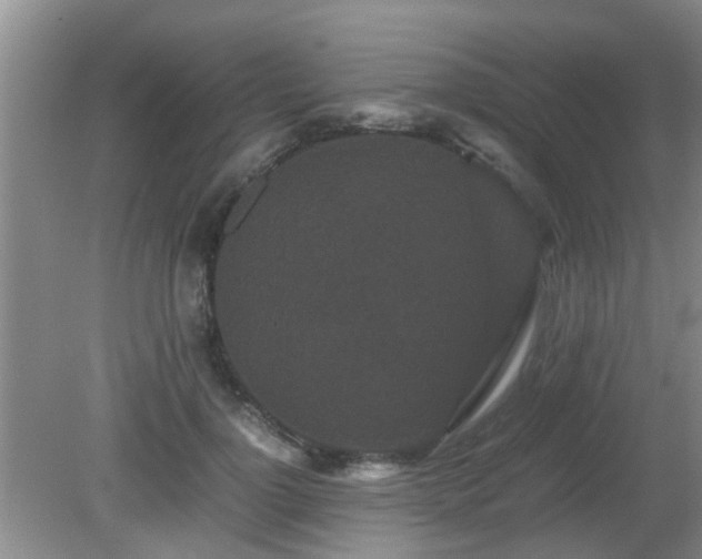 X0000081490748200701191858