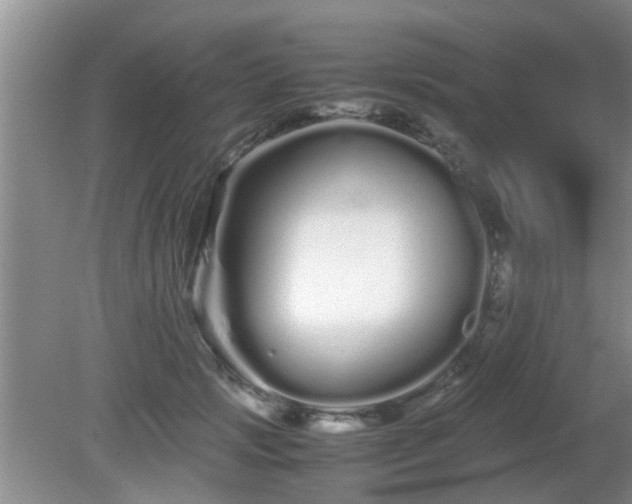 X0000081490749200701191858