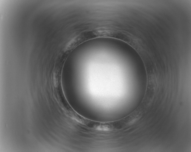 X0000081490751200701191858