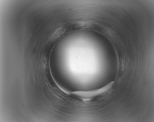 X0000081490752200701191858