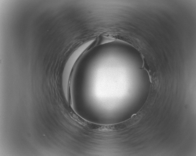 X0000081490756200701191858