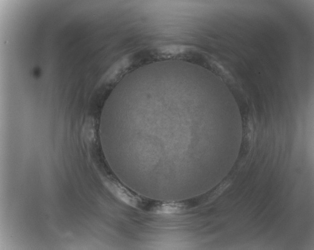 X0000081490758200701191858