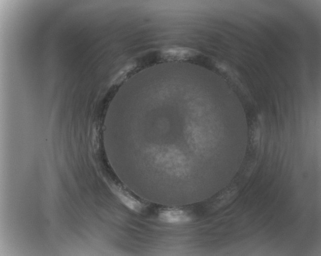 X0000081490759200701191858