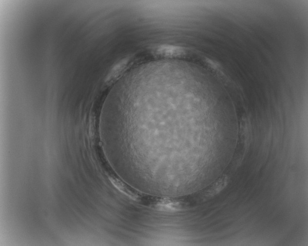 X0000081490760200701191858