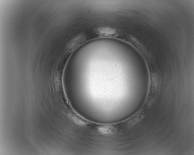 X0000081490761200701191858