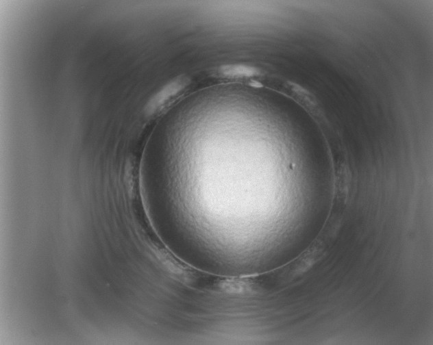 X0000081490762200701191858