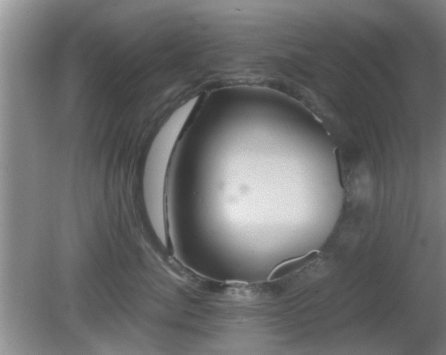 X0000081490764200701191858