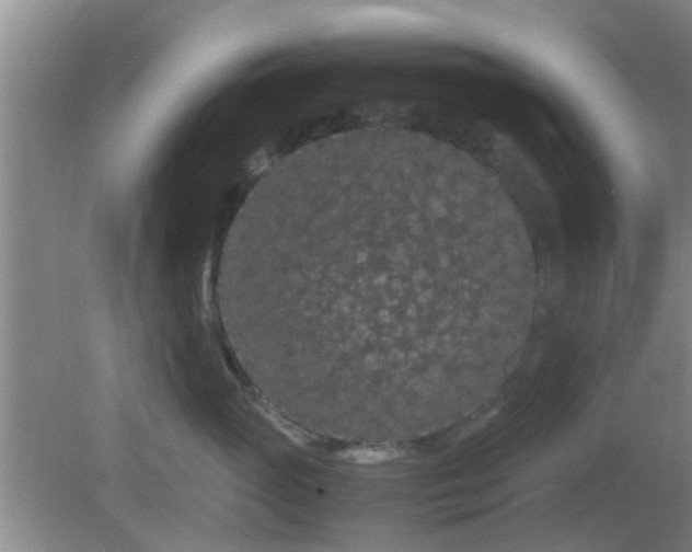 X0000081490765200701191858