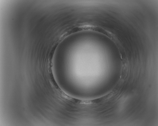 X0000081490767200701191858