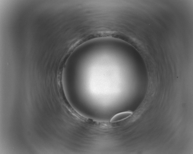 X0000081490768200701191858