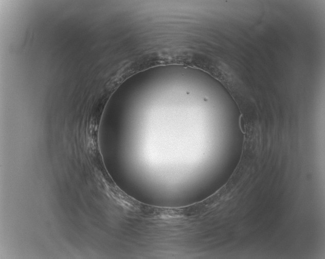 X0000081490770200701191857