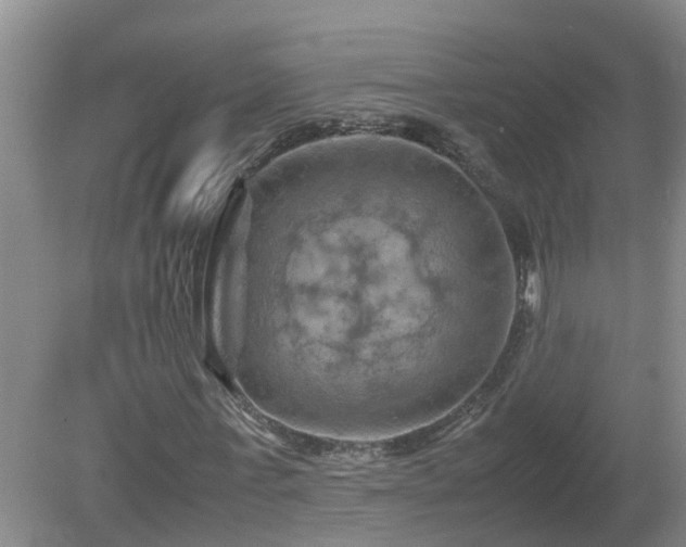 X0000081490771200701191857