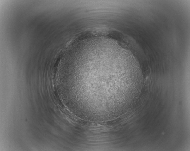 X0000081490772200701191857