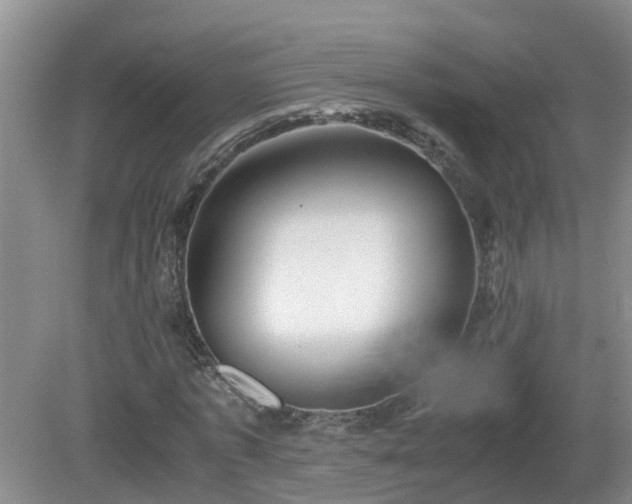 X0000081490773200701191857