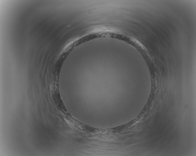 X0000081490775200701191857