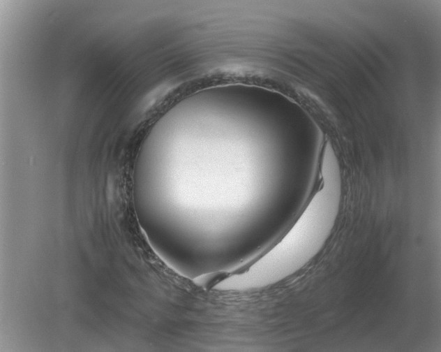 X0000081490776200701191857