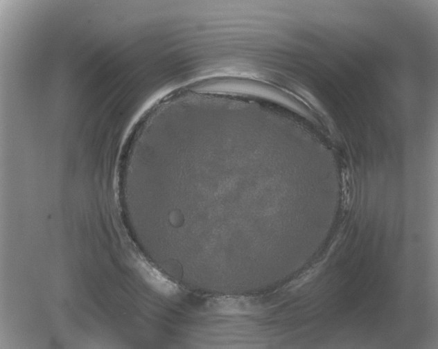 X0000081490780200701191857