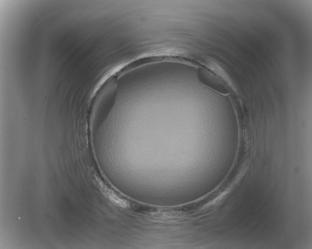 X0000081490781200701191857