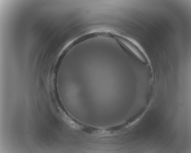 X0000081490783200701191857