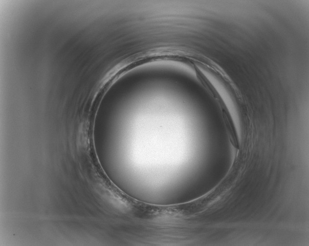 X0000081490786200701191857