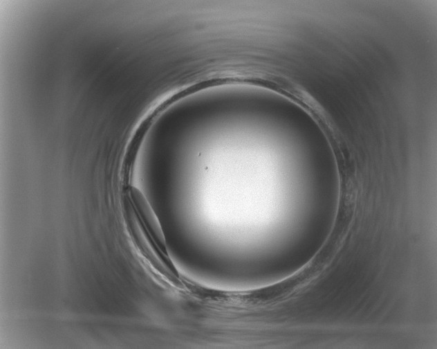 X0000081490787200701191857