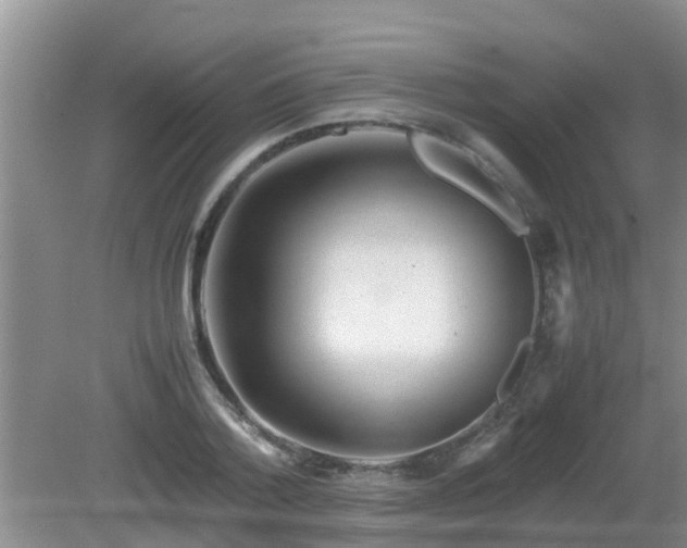 X0000081490788200701191857