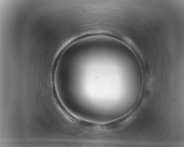 X0000081490789200701191857