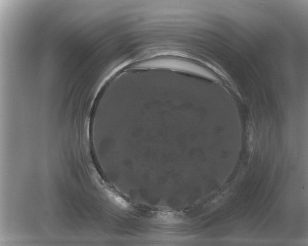 X0000081490790200701191857