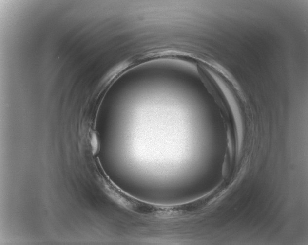 X0000081490793200701191857