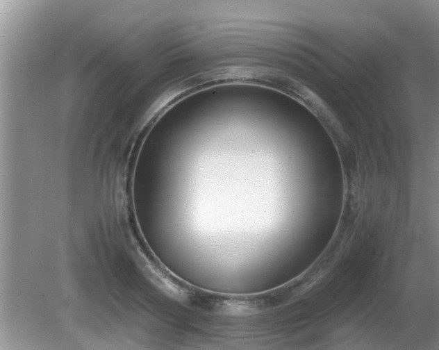 X0000081490794200701191857