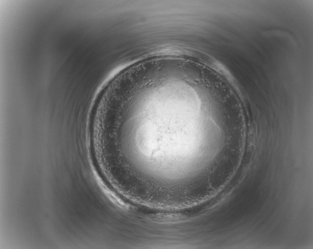 X0000081490795200701191857