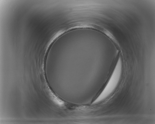 X0000081490797200701191857