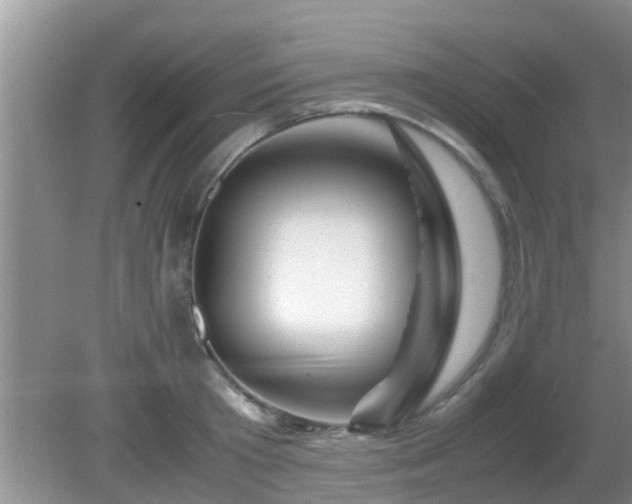 X0000081490801200701191857