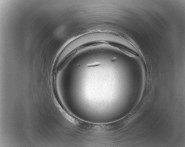 X0000081490803200701191857