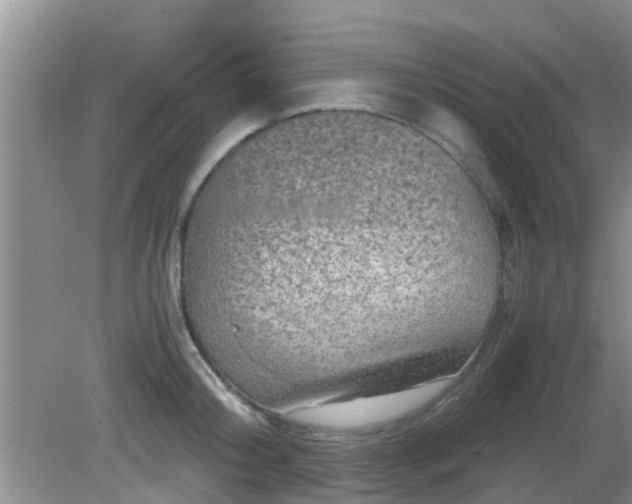 X0000081490804200701191857