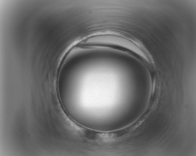 X0000081490805200701191857