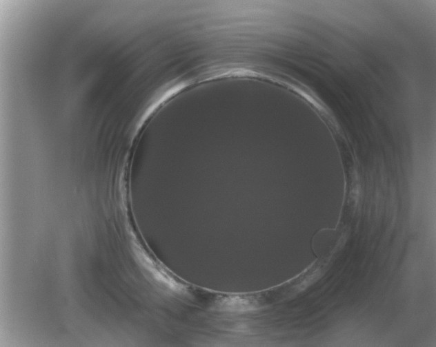 X0000081490806200701191857