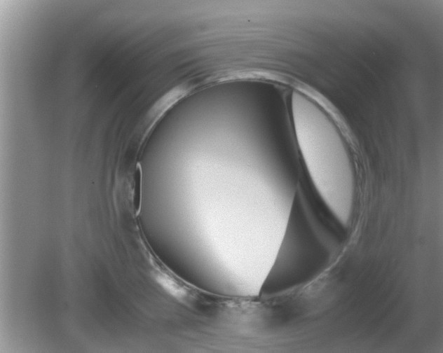 X0000081490809200701191857