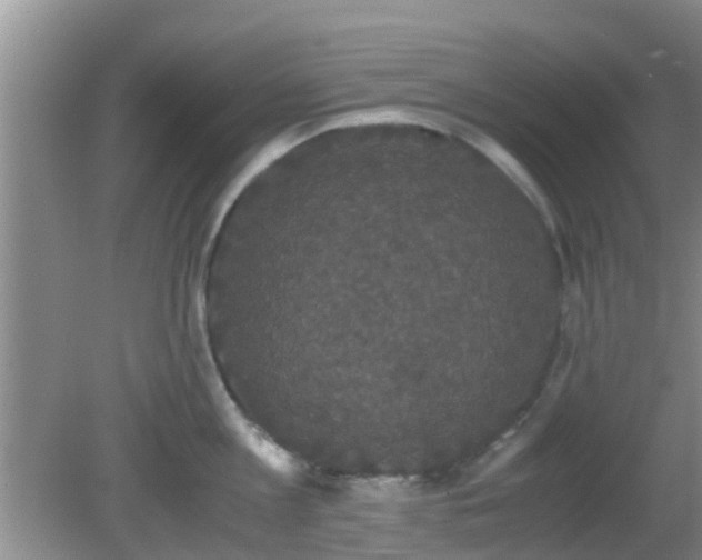 X0000081490813200701191857