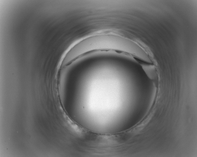 X0000081490816200701191856