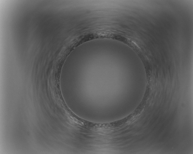 X0000081490817200701191856