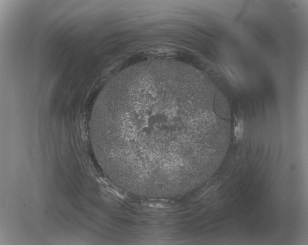 X0000081490819200701191856