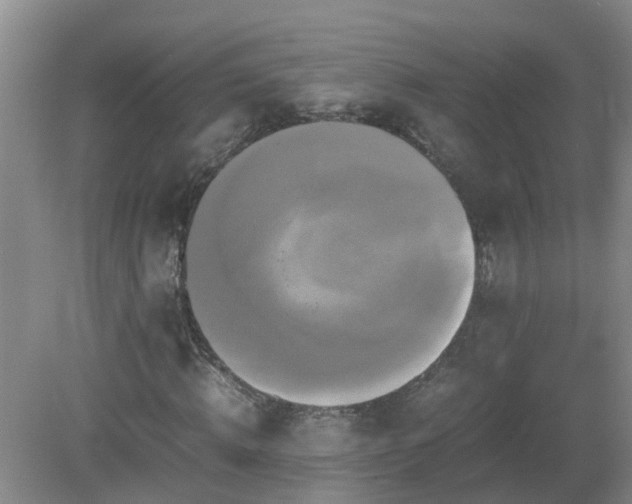 X0000081490820200701191856