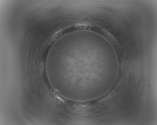 X0000081490821200701191856