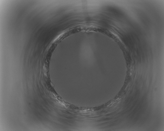 X0000081490823200701191856