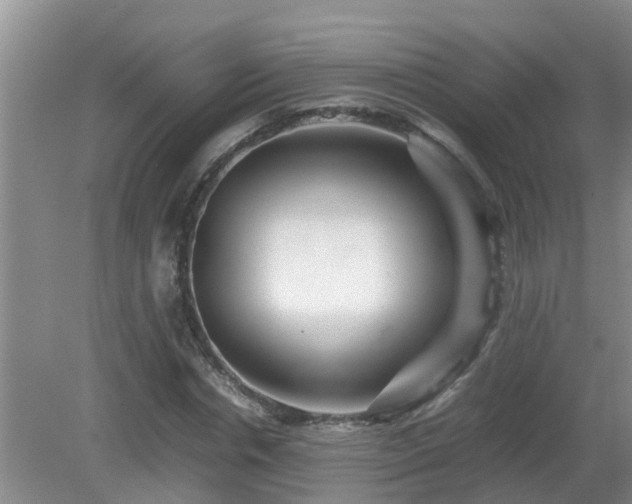 X0000081490826200701191856