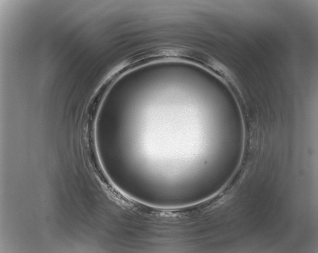 X0000081490827200701191856