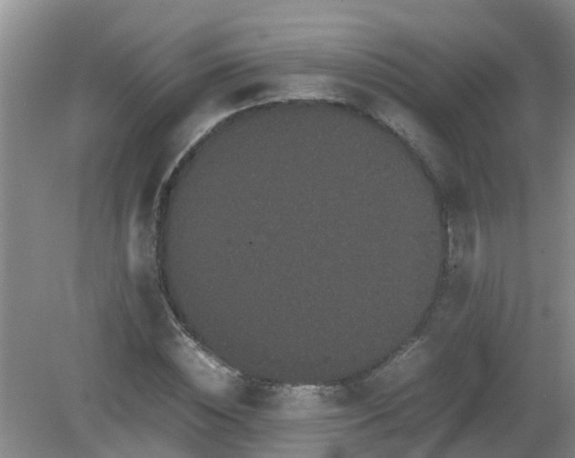 X0000081490828200701191856